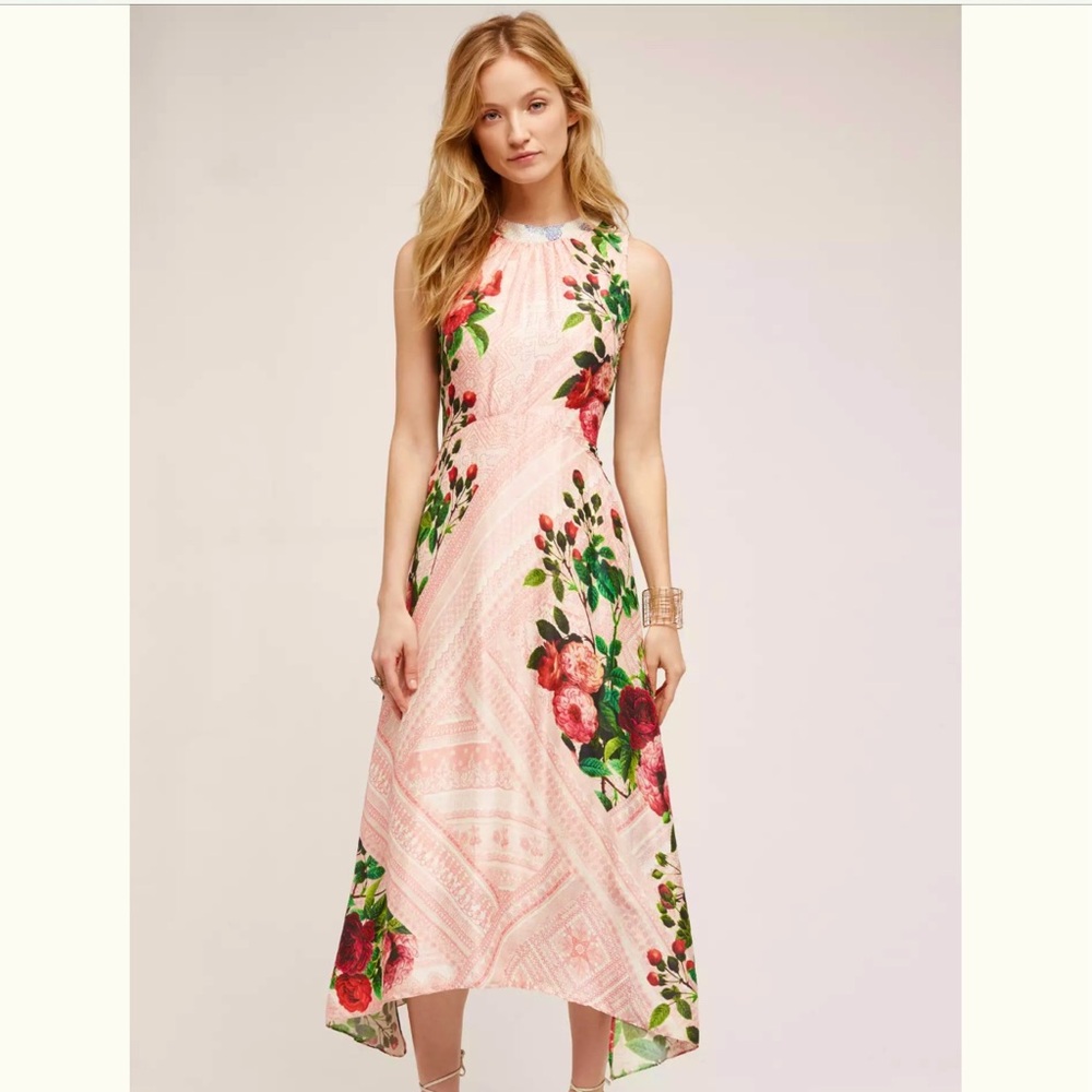 Anthropologie Pankaj & Nidhi Butterfly Garden Dress Size 8, LIKE NEW
